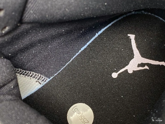 Rep TBK (W) Iridescent Mid Dirty Powder Jordan Air BQ6472-602 1 0726